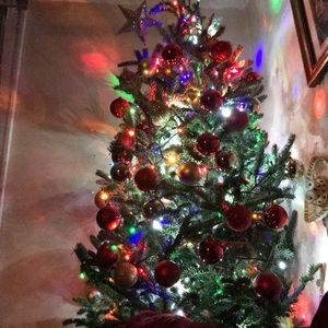 Meet your Posher, Chucho